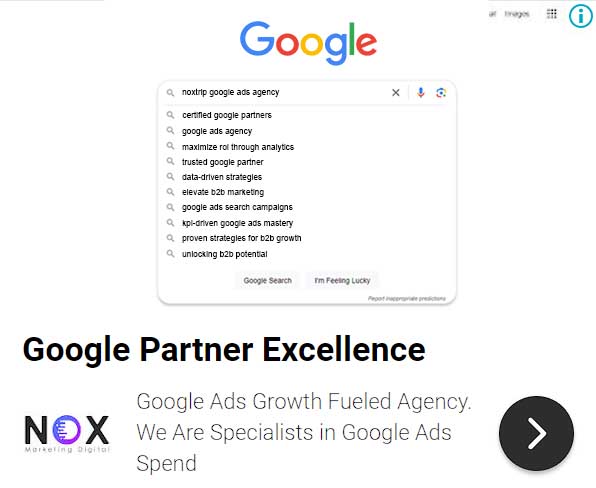Noxtrip Google Ads Agency, Digital Marketing Monterrey Mexico, Google Partner Agency, Display Ad, Our Services