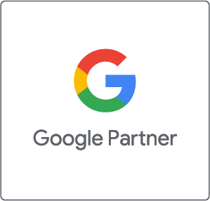 Noxtrip Google Ads Agency, Digital Marketing Monterrey Mexico, Google Partner Agency