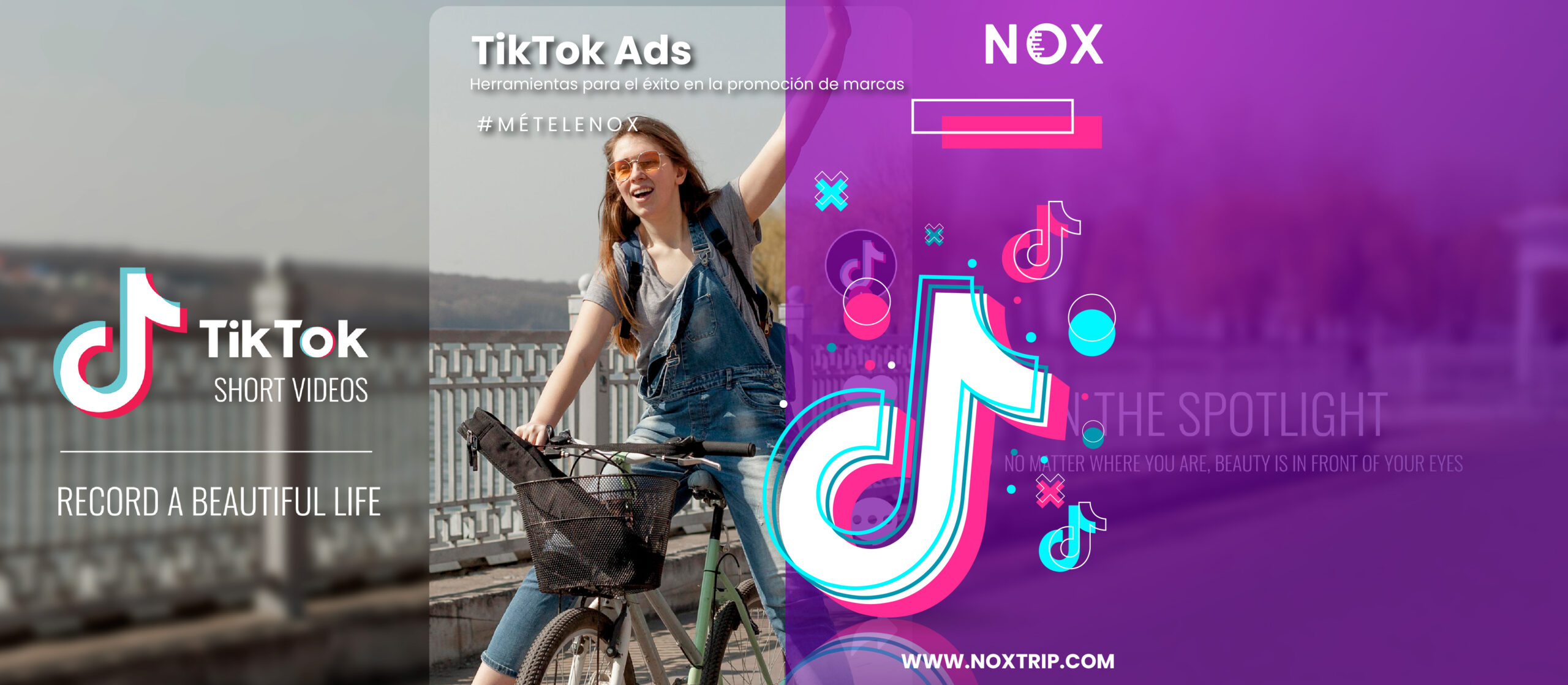 NOX Marketing Digital, TikTok Ads